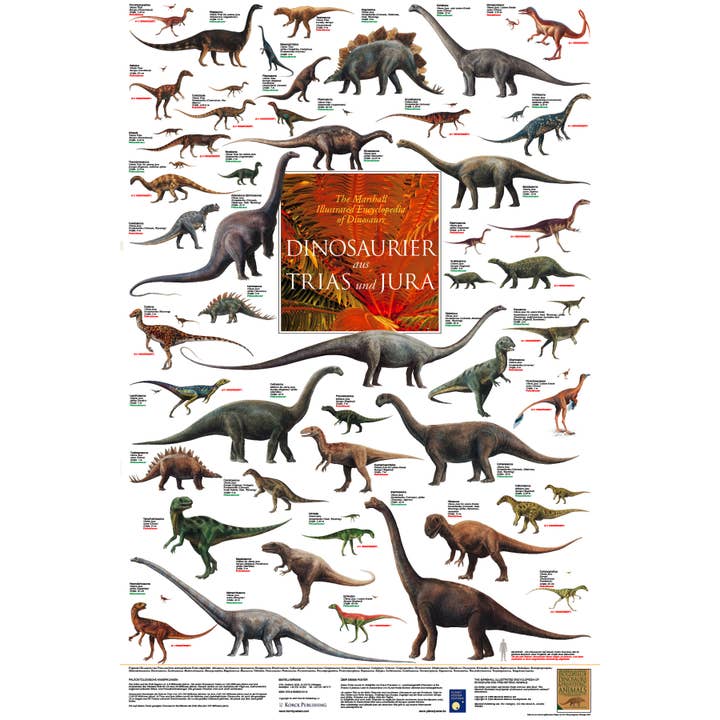 Close Up GmbH - Wholesale Poster - Dinosaurs from Triassic and Jurassic laminated 90 x 60 cm