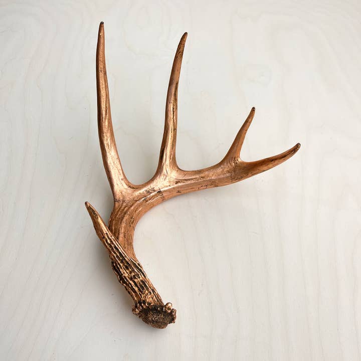 Farmhaus + Co. - Wholesale Decorative Tabletop Object - Antler Accents - Gilded5