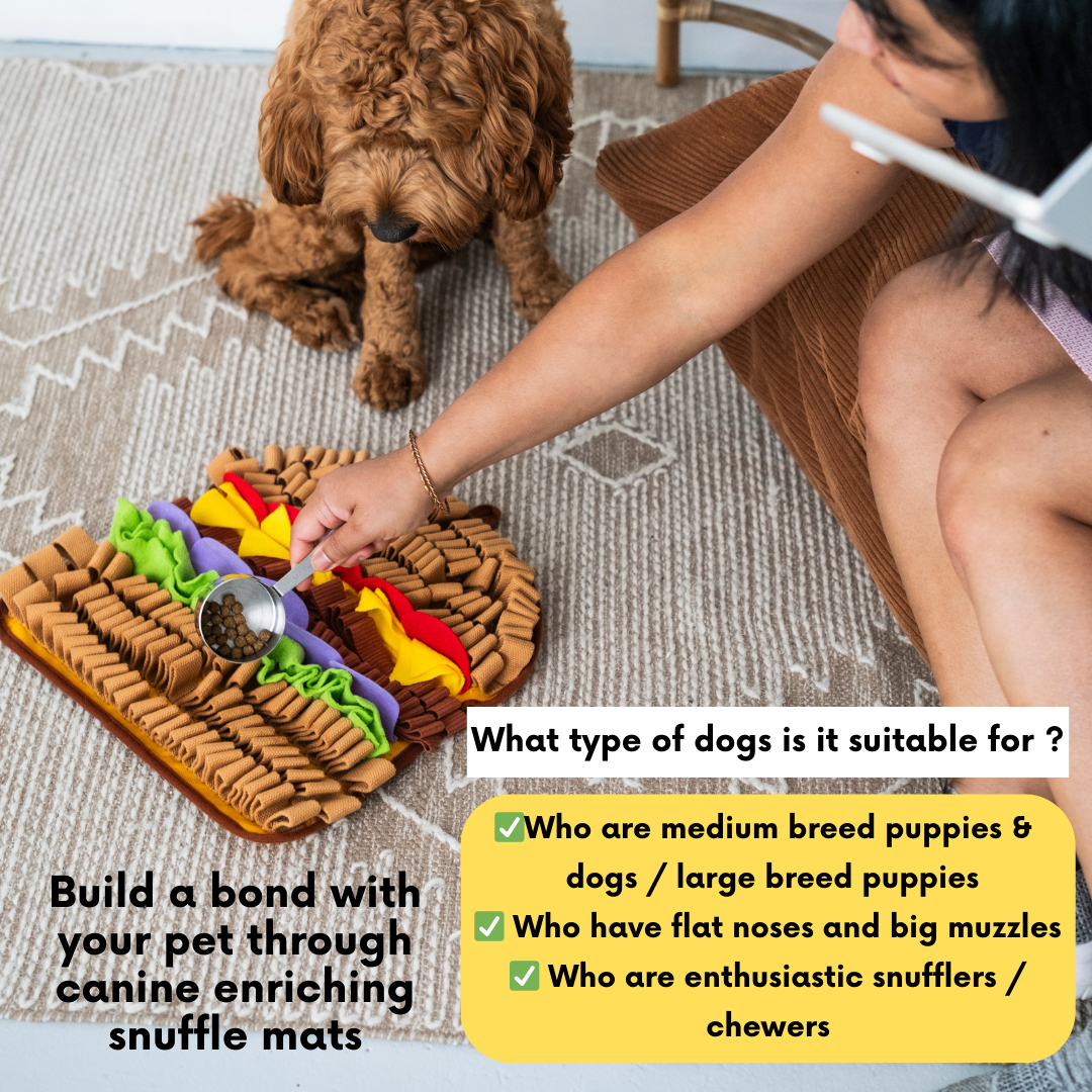 PawzNDogz - Wholesale Pet toy – Cat/dog - Juicy Hamburger by LuvMyFido6