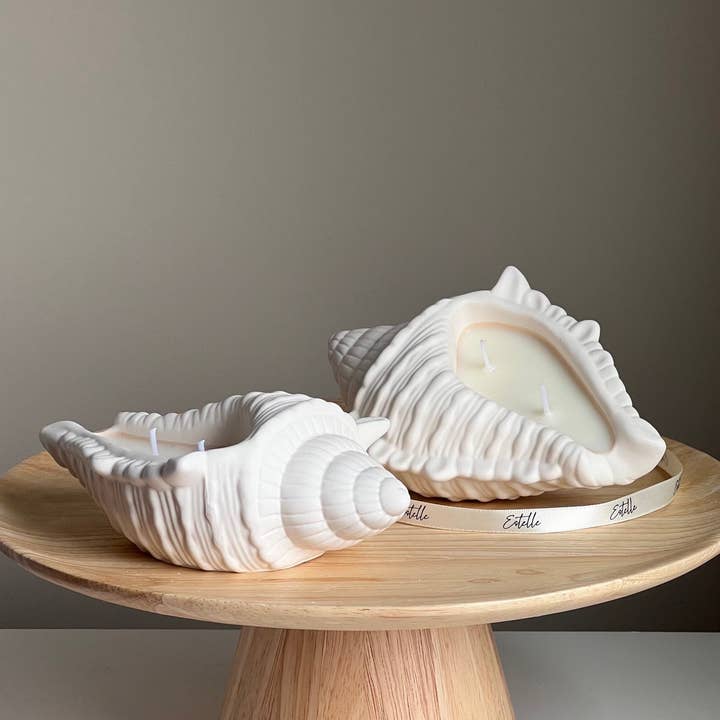 Conch Shell Container Soy Wax Candle for wholesale by Estelle Studio