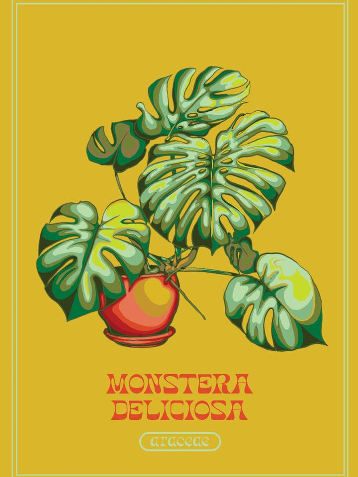 Monstera Deliciosa for wholesale by fern (like the plant)