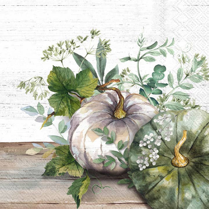Paper Cocktail Napkin 20Ct Green & White Pumpkin Fall Autumn for wholesale by Boston International