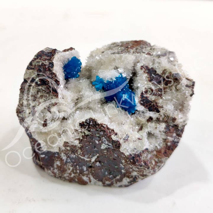 Oceanic Linkways Inc - Wholesale Spiritual Stone/Crystal - (PC)SPECIMEN - CAVANSITE IN MATRIX 3-6"4