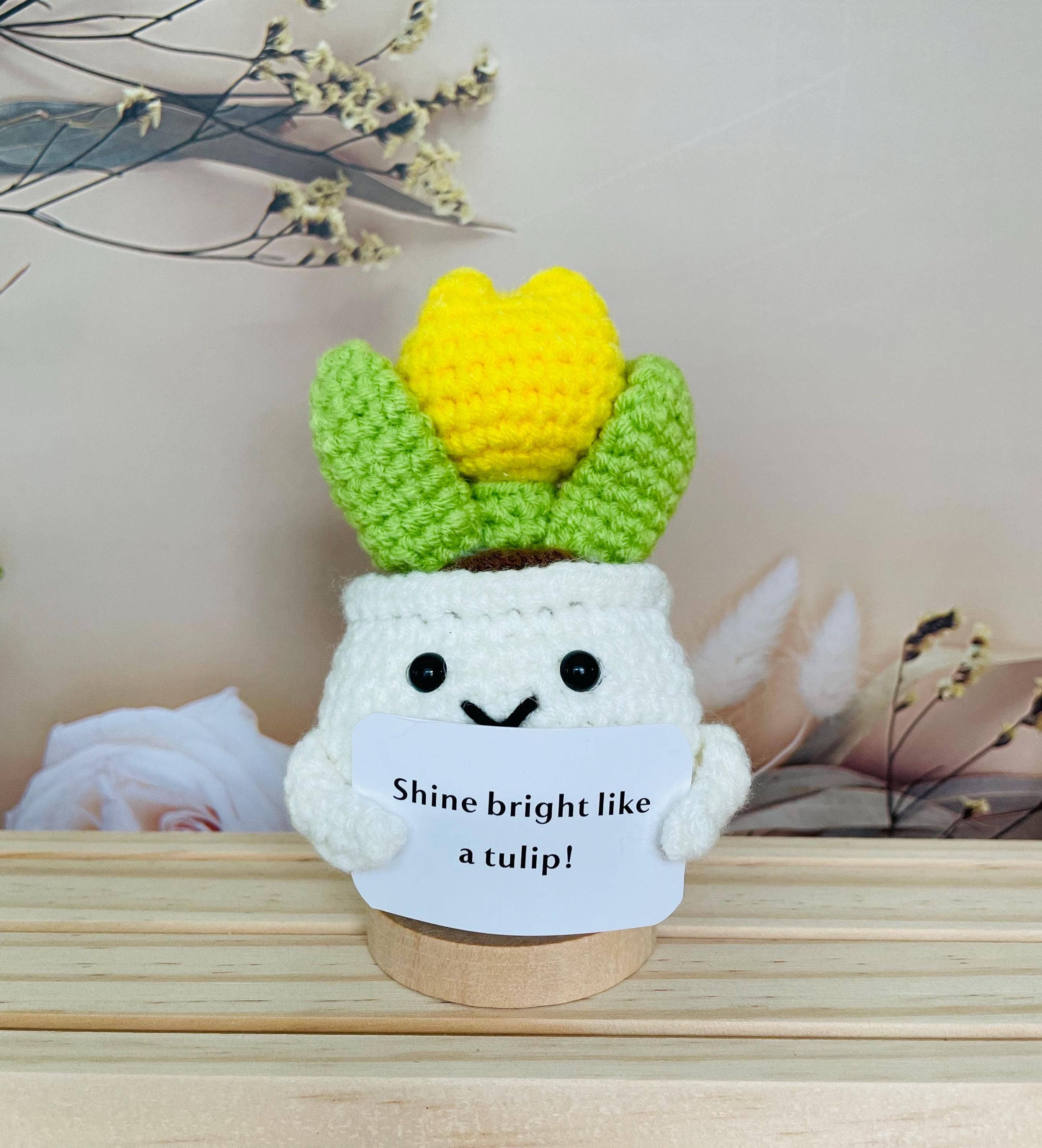 TOMOPOD LLC – wholesale Christmas decoration – Crochet Cactus Succulent Plant Emotional Support4