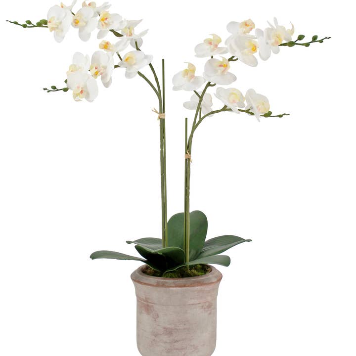 CG Hunter - Wholesale Artificial Flowers - Artificial 2-Stem Phalaenopsis White Orchid