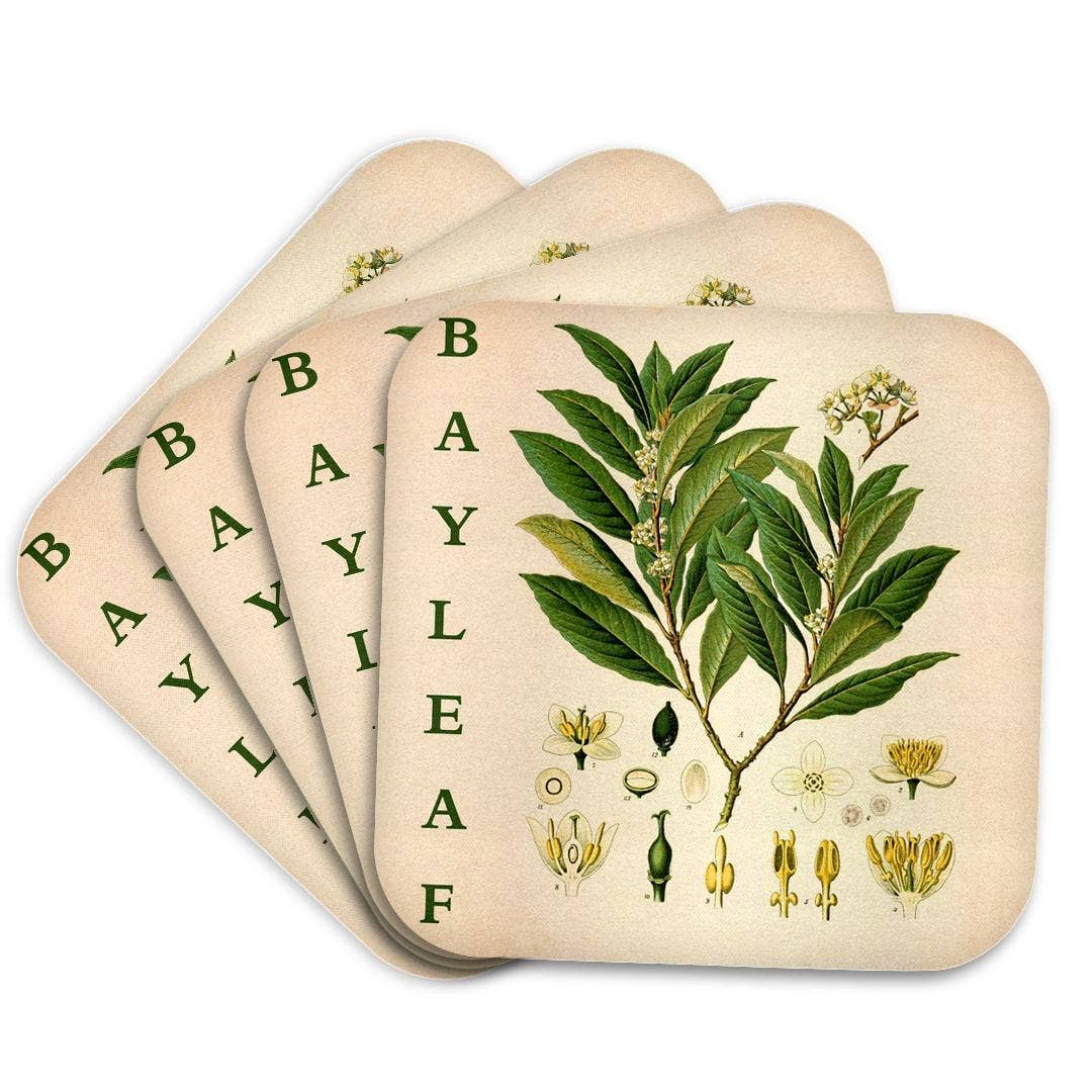 3dRose - Wholesale Coasters - 3dRose, Bay Leaf Kitchen Art - Bay Leaves Tree Herb Plant Print Cooking Gift, Coaster7