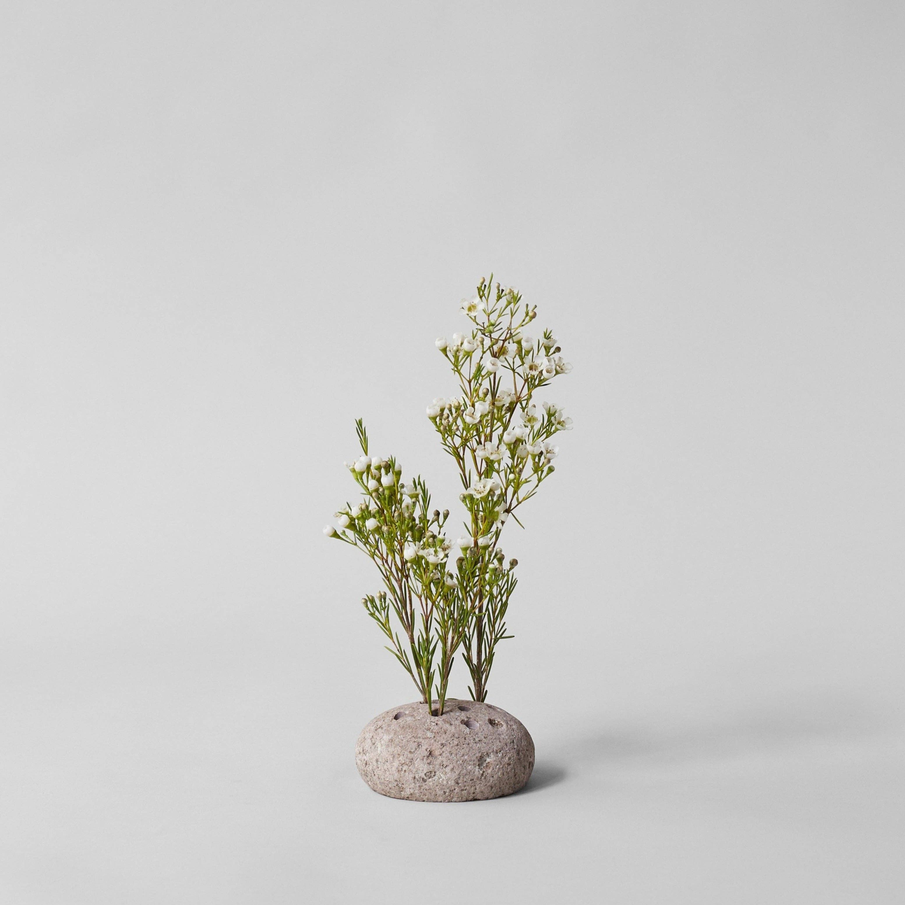 Bloomist – wholesale Decorative tabletop object – Round Stone Frog3