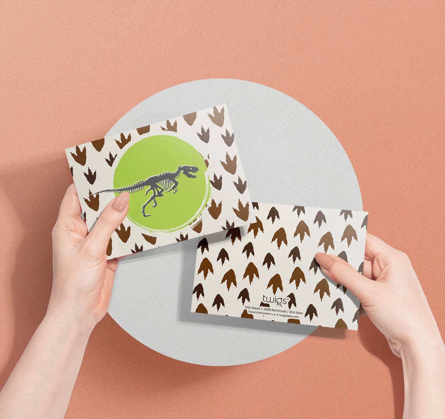 Twigs Paper - Wholesale Stationery/Notecard Set - Dinosaur Greeting Card Set | Assorted Notecards7