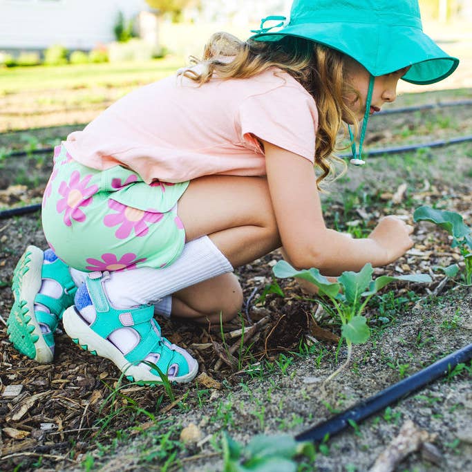 Guineas - Wholesale Socks - Kids - Tick Repellent Socks - Youth Medium5