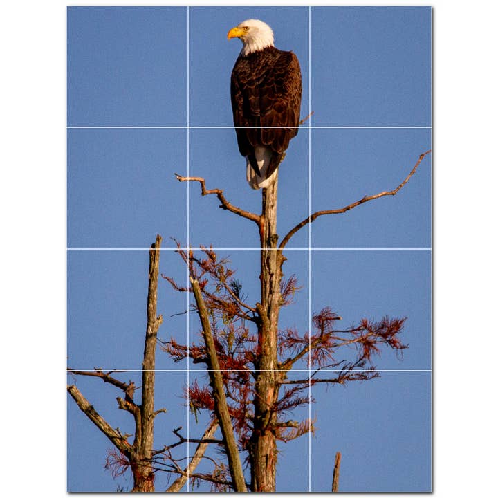 Bird Keramiska plattor Keramiska plattor Väggmålning PT500161 för wholesale av Picture-Tiles.com