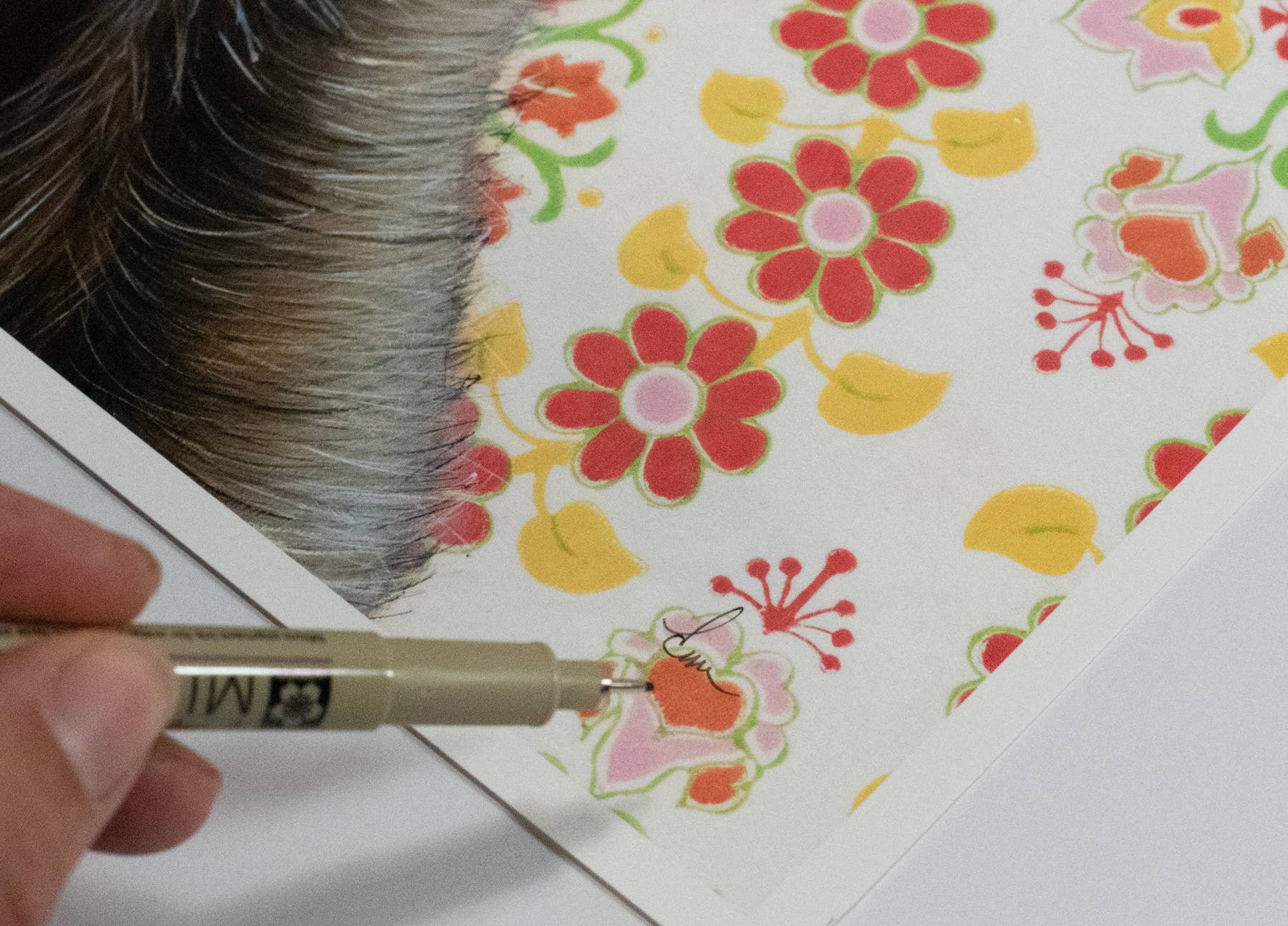 Emily Uchytil – Engroshandel Kunsttryk – Sloth - Kunsttryk3