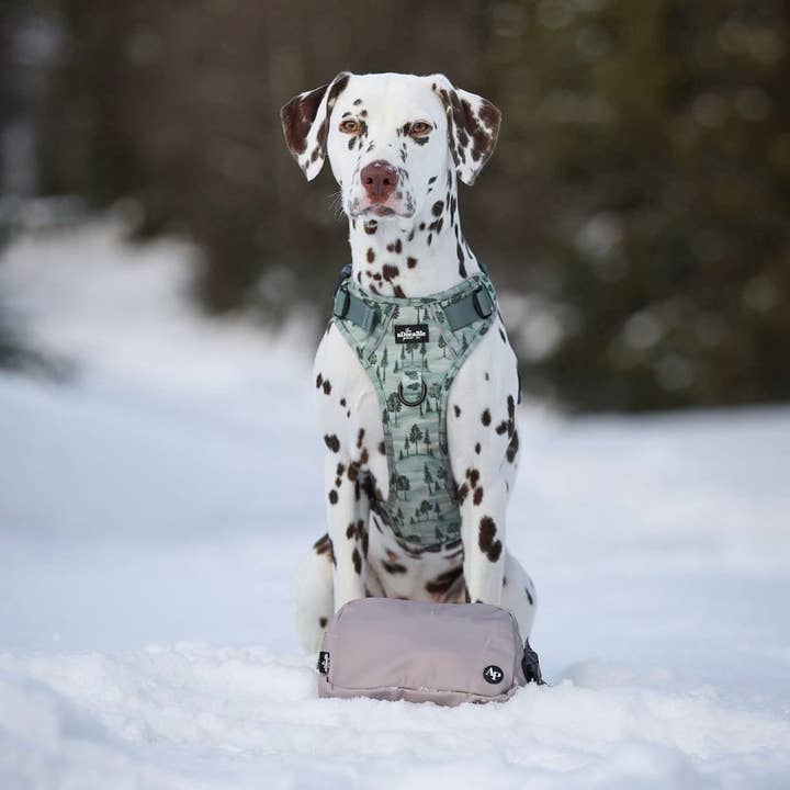 The aDoraBle Pooch Company - Wholesale Belt bag – Women’s - Slimline Everyday Bumbag - Beige16