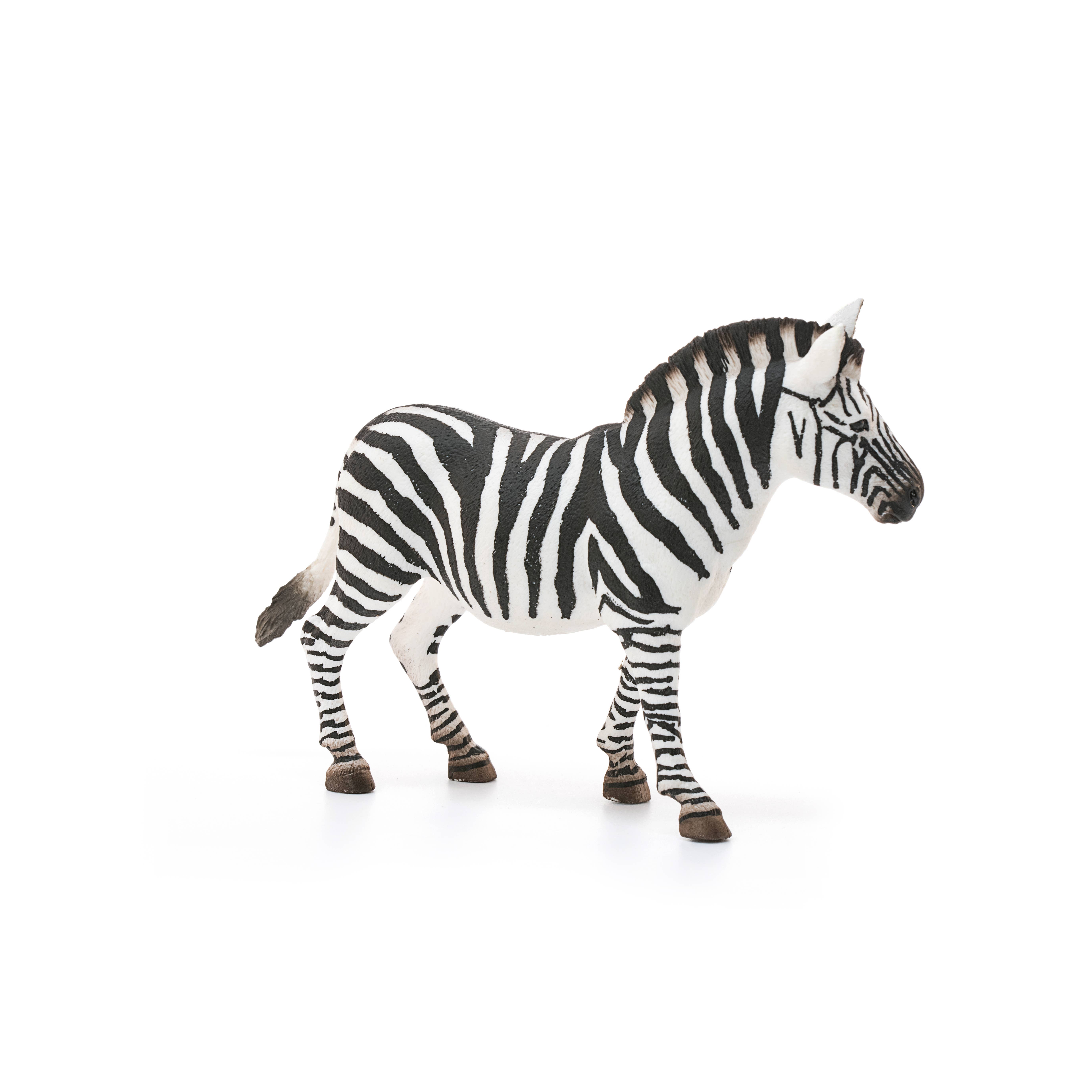 Schleich - Wholesale Figurine Toy - Kids - Zebra, Female Safari Animal Toy2