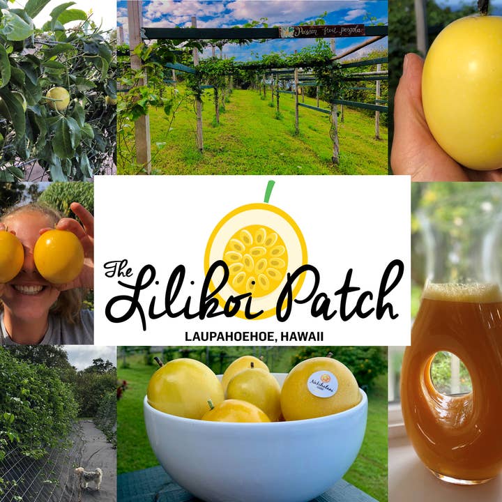 Nakihalani Farm - Wholesale Flavored Syrup - Lilikoi Syrup 12oz - Made in Hawaii2