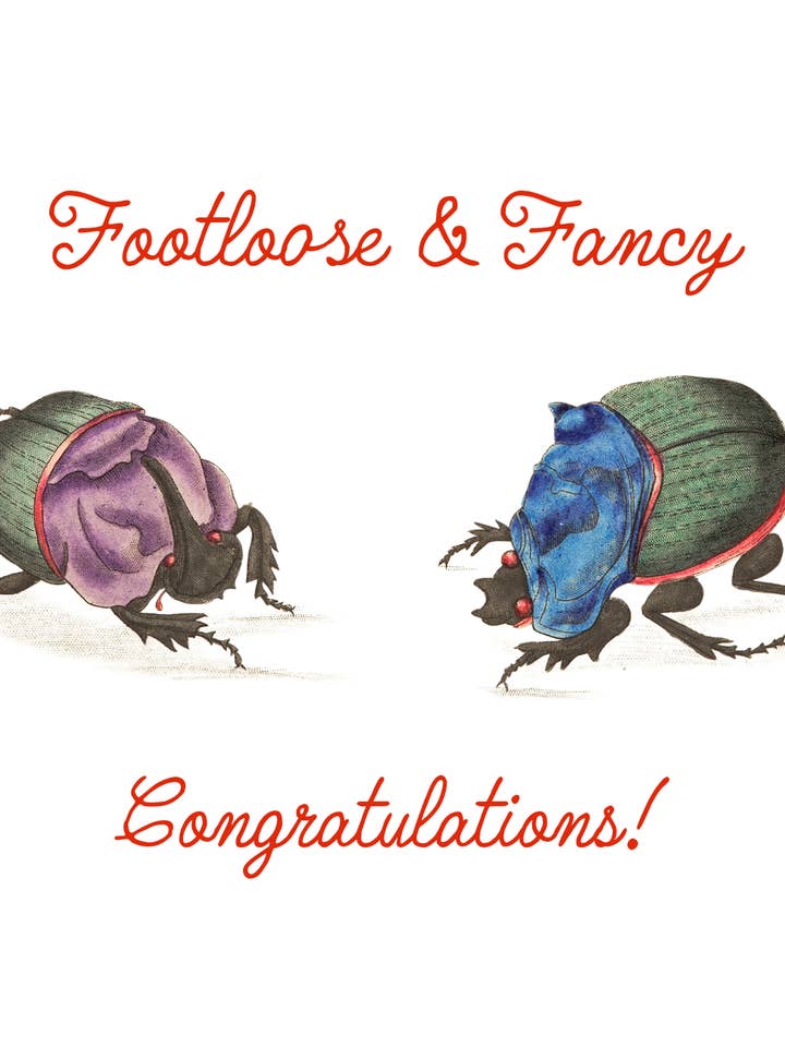 Bardos Escarabajo para venta al por mayor de Sweet Tree Cards