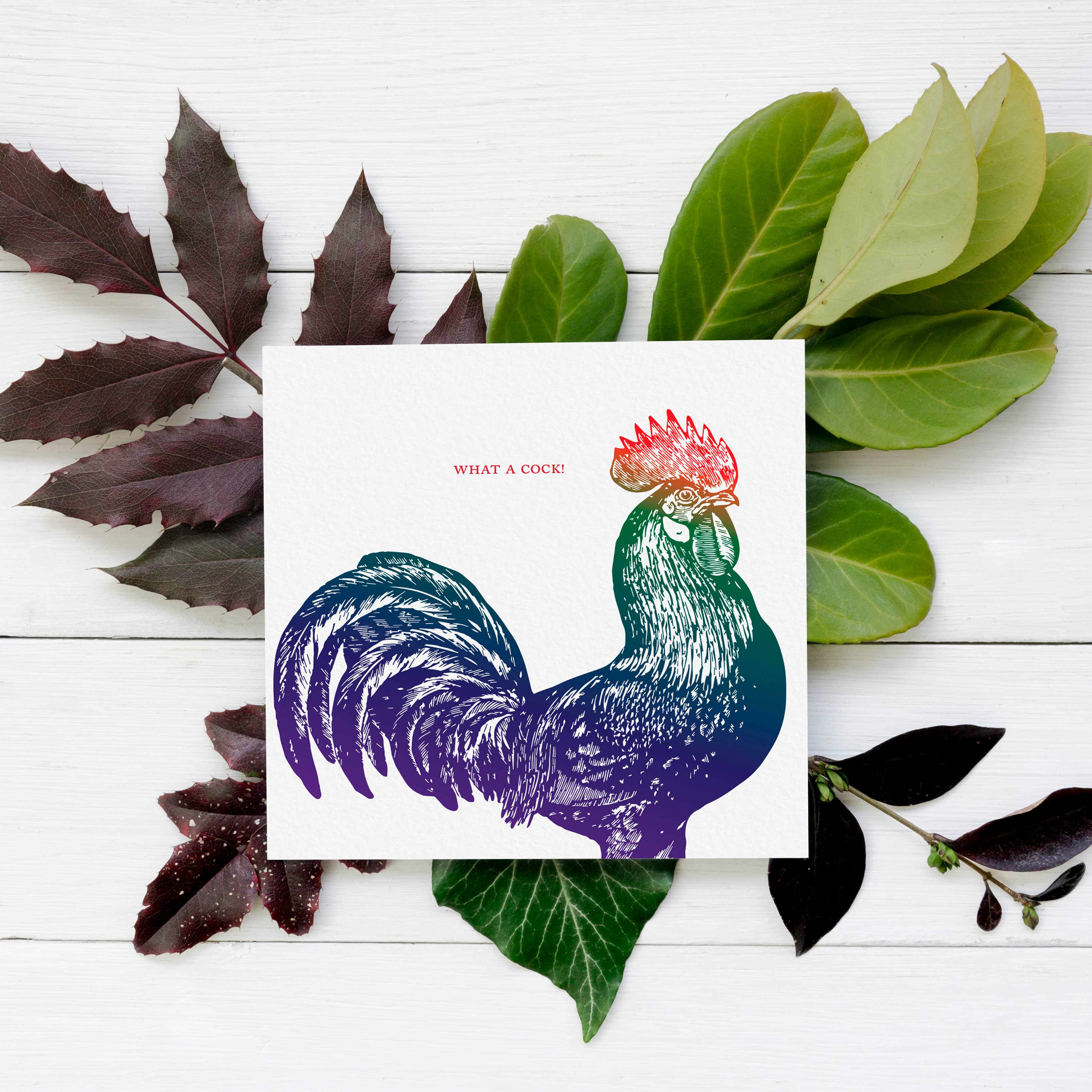 Ampersand M Studio - Vendita all'ingrosso Biglietti di auguri generici - Che gallo sexy! Biglietto di San Valentino.3