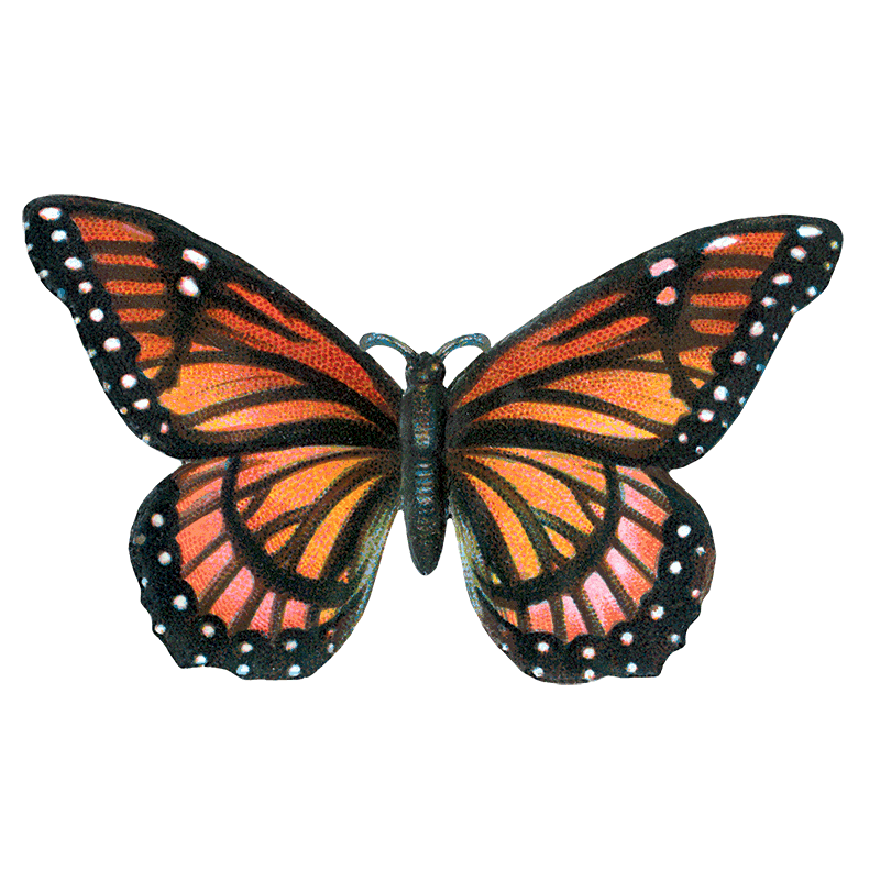 Laughing Elephant – Großhandel Aufkleber – Butterfly Box — Stickerbox für den täglichen Gebrauch23