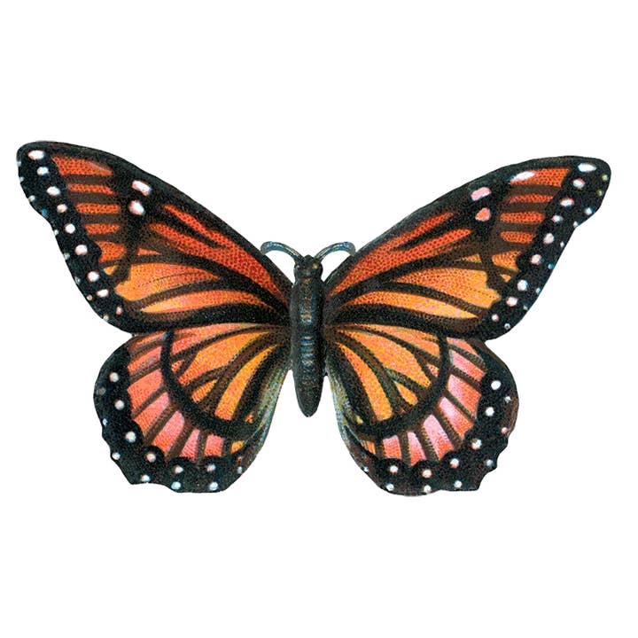 Laughing Elephant - Wholesale Sticker - Butterfly Box - Everyday Sticker Box23