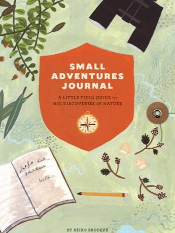 Small Adventures Journal for wholesale by Chronicle Books