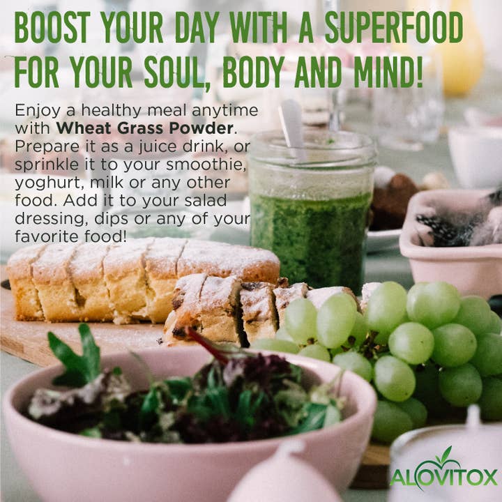 Alovitox – wholesale Powdered health drink – Certified Organic Wheat Grass Juice Powder