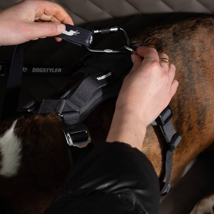 Sistema di sicurezza per cani Click & Safety per il bagagliaio per la vendita all'ingrosso da parte di Dogstyler