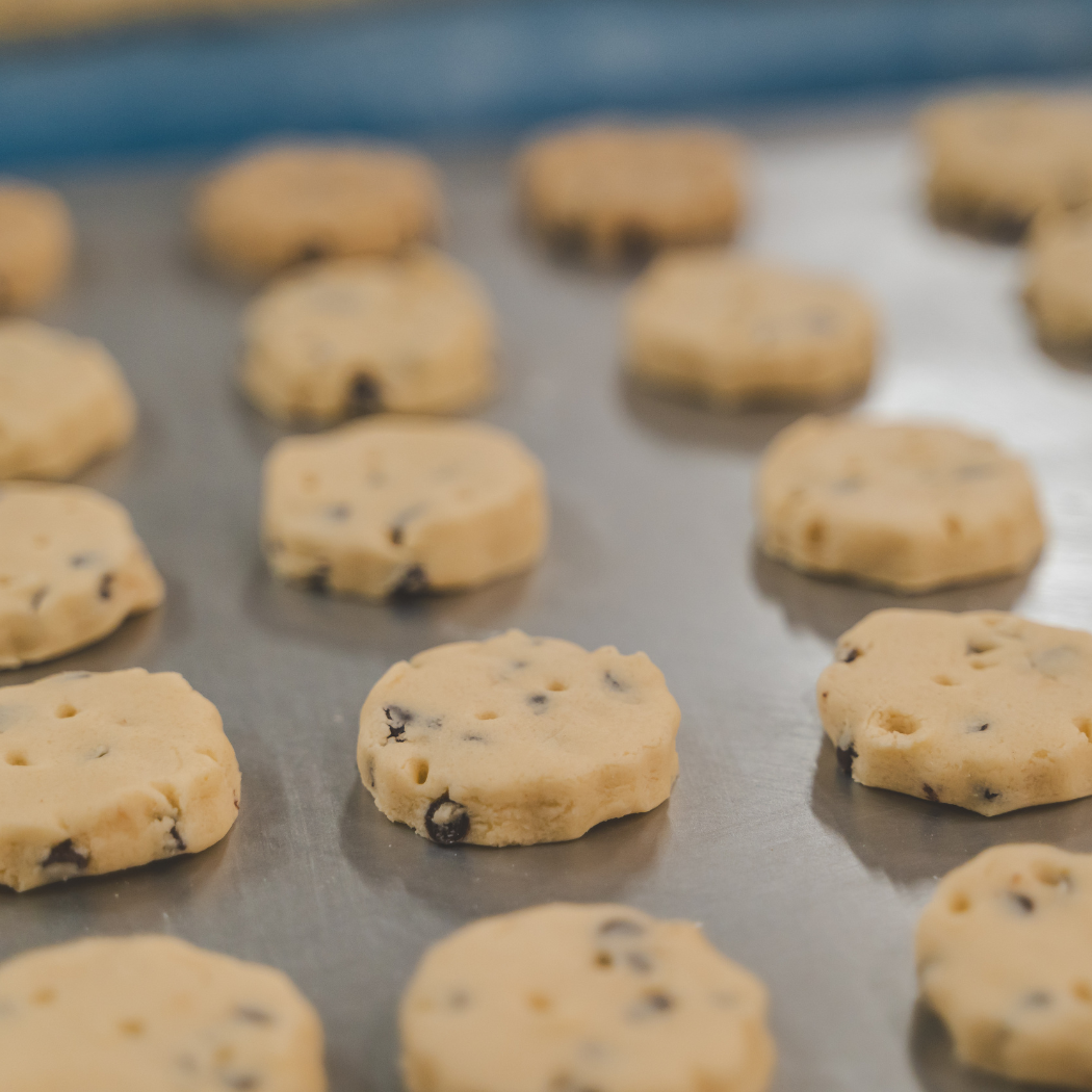 Shortbread House of Edinburgh - Wholesale Cookie - Shortbread House Dark Chocolate Biscuit Tin 140g MP122