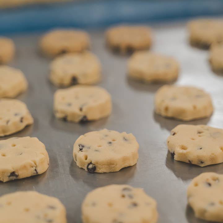 Shortbread House of Edinburgh - Wholesale Cookie - Shortbread House Dark Chocolate Biscuit Tin 140g MP122