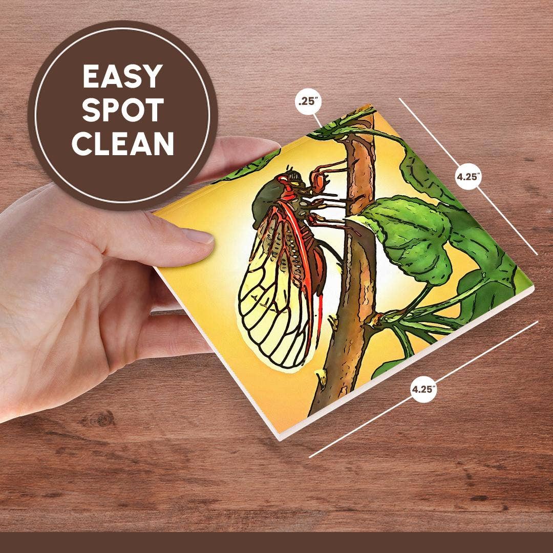 3dRose - Wholesale Coasters - 3dRose, Cicada Insect Black Outline Art, Coaster6