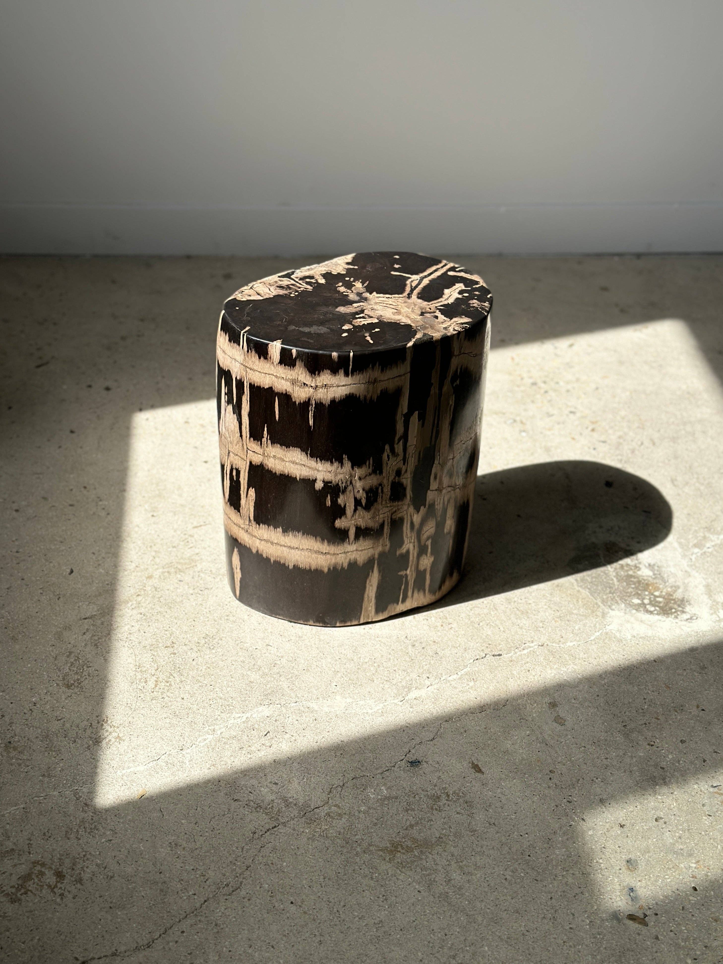 Office Objets - Vente Tables d'appoint - Table d'appoint en bois pétrifié25