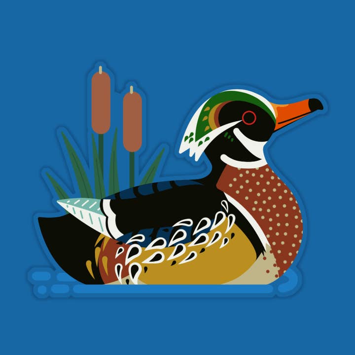 Wood Duck Vinyl Sticker | Waterproof Bird Vinyl Sticker for wholesale by Laura Illustrates