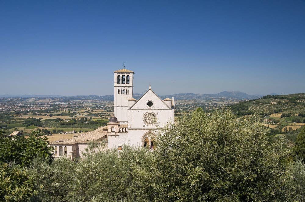 Italian Within - Vendita all'ingrosso Olio d'oliva - DOP Umbria MARFUGA RISERVA Colli Assisi — Spoleto3