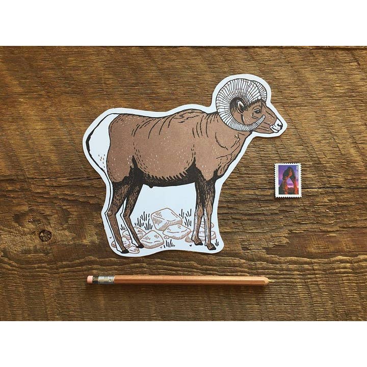 Noteworthy Paper & Press - Wholesale Postcard - Bighorn Sheep Postcard1