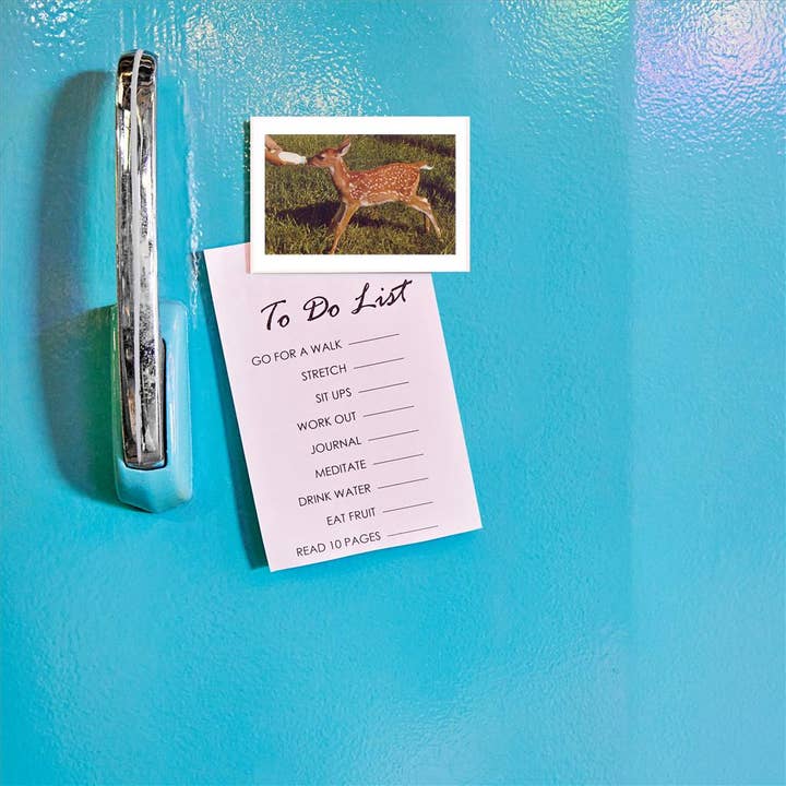 Found Image Press - Wholesale Magnet - Magnet AN-721 Fawn Nursing from Bottle1