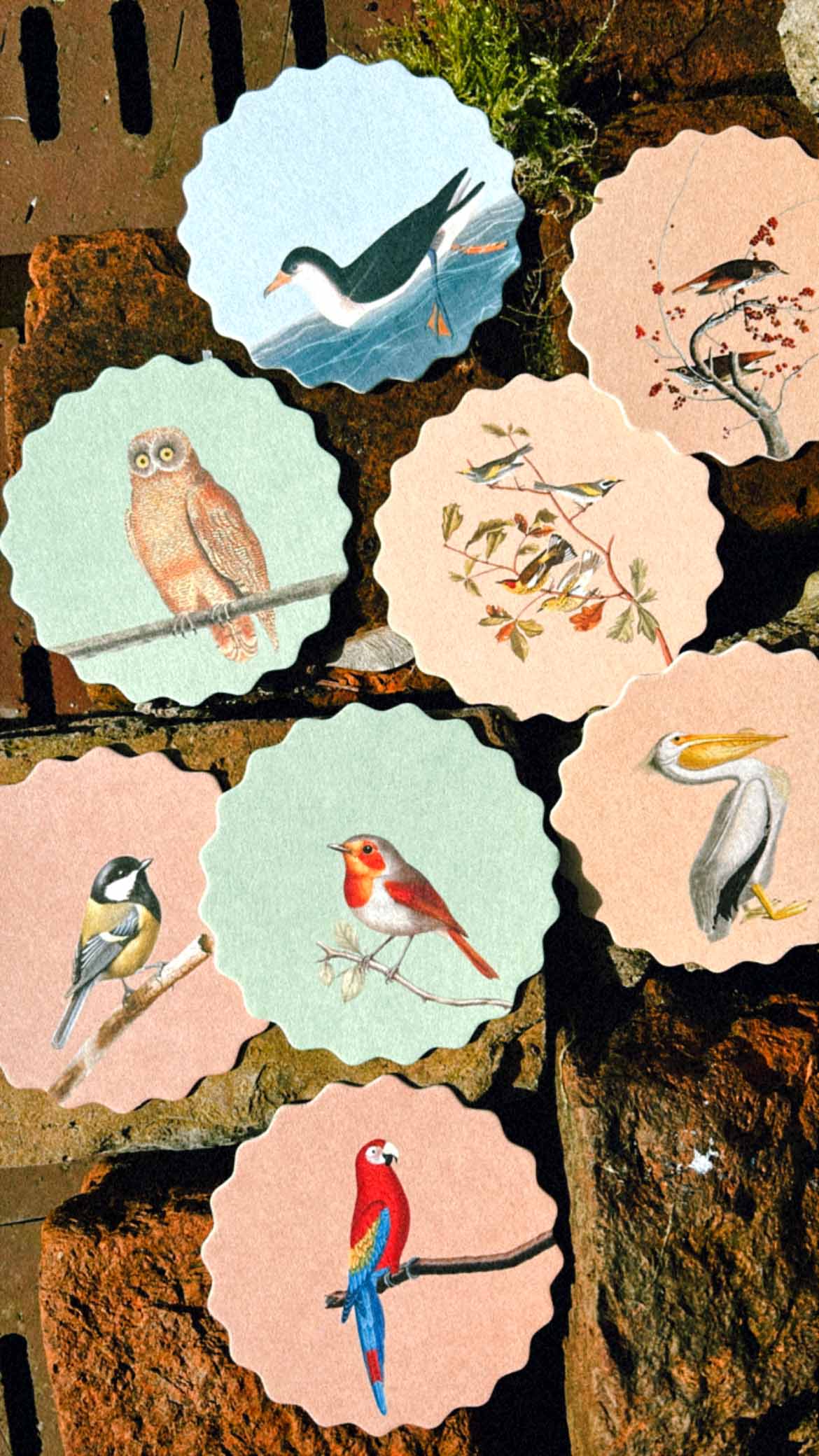 30x40 - Wholesale Onderzetters - Set van 10 onderzetters met vogelmotieven 🦉🦜🐦11