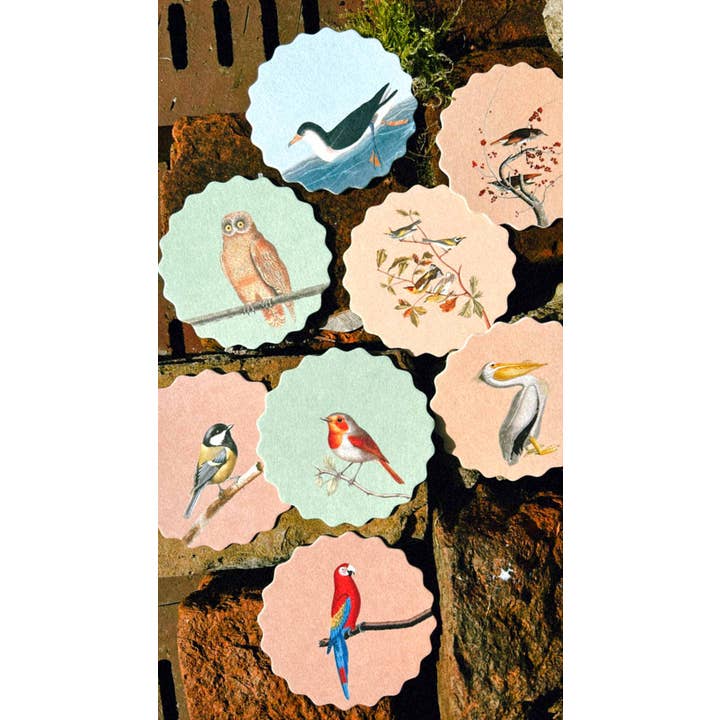 30x40 - Wholesale Onderzetters - Set van 10 onderzetters met vogelmotieven 🦉🦜🐦11