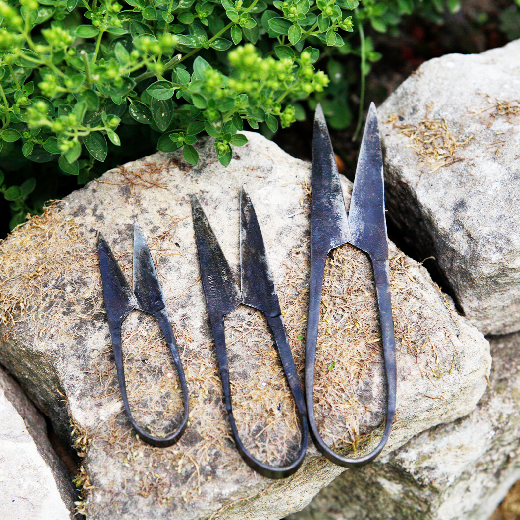 AUTHENTIC BLADES - Wholesale Scissors and Shears - AUTHENTIC BLADES MO, herb scissors, cutting length 4-8cm made of carbon steel4