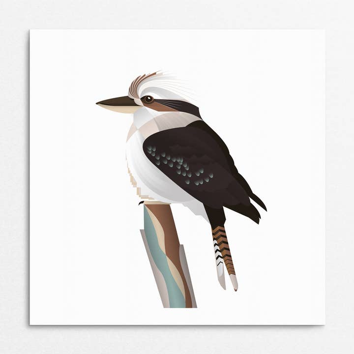 'Kookaburra' bird Greetings card for wholesale by Rachel Hunt Illustration