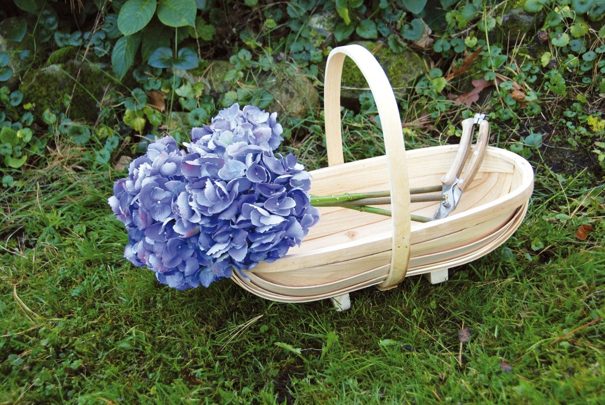 NACH - Wholesale Basket - Wooden Garden Trug Set of 31