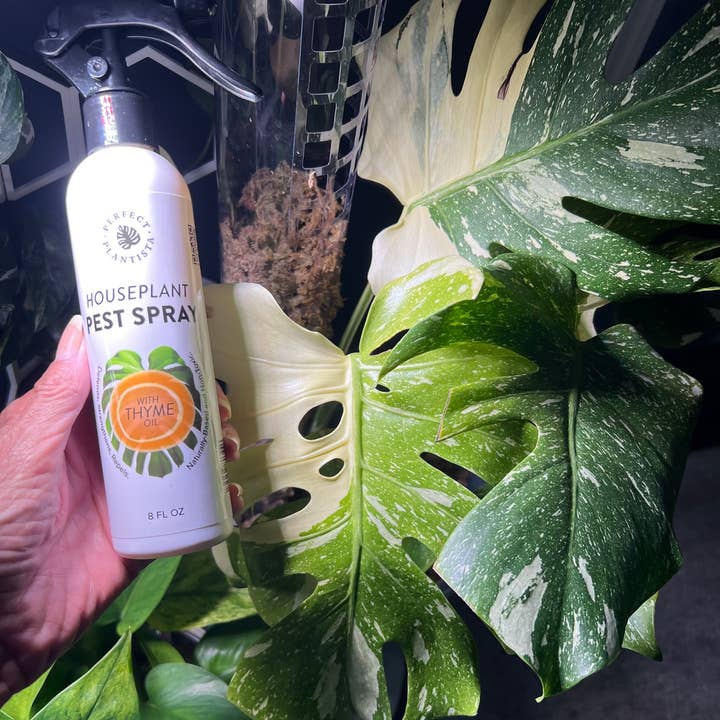 Perfect Plantista - Wholesale Insect Repellent - Natural + Non-Toxic Houseplant Pest Spray3