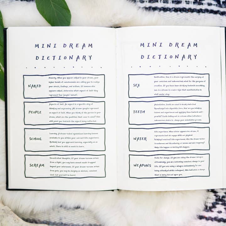 Dream Journal, Dictionary & Lunar Guide for wholesale by WE THE WILD