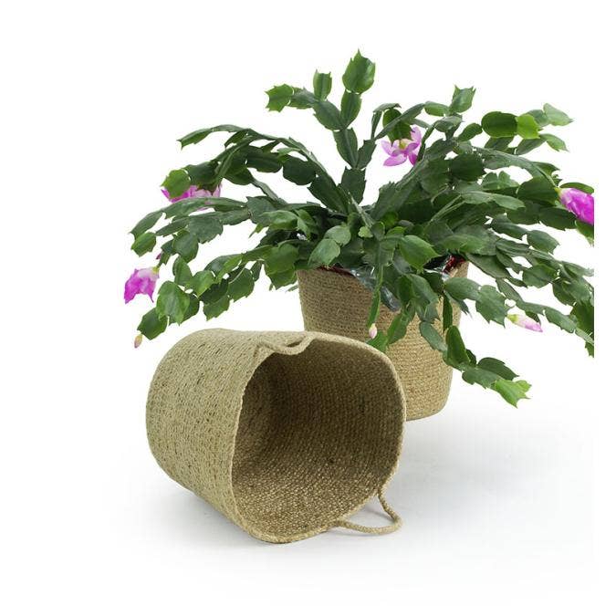 Buhi Imports - Wholesale Plant Pot - 6.5  inch Jute Pot Cover 1