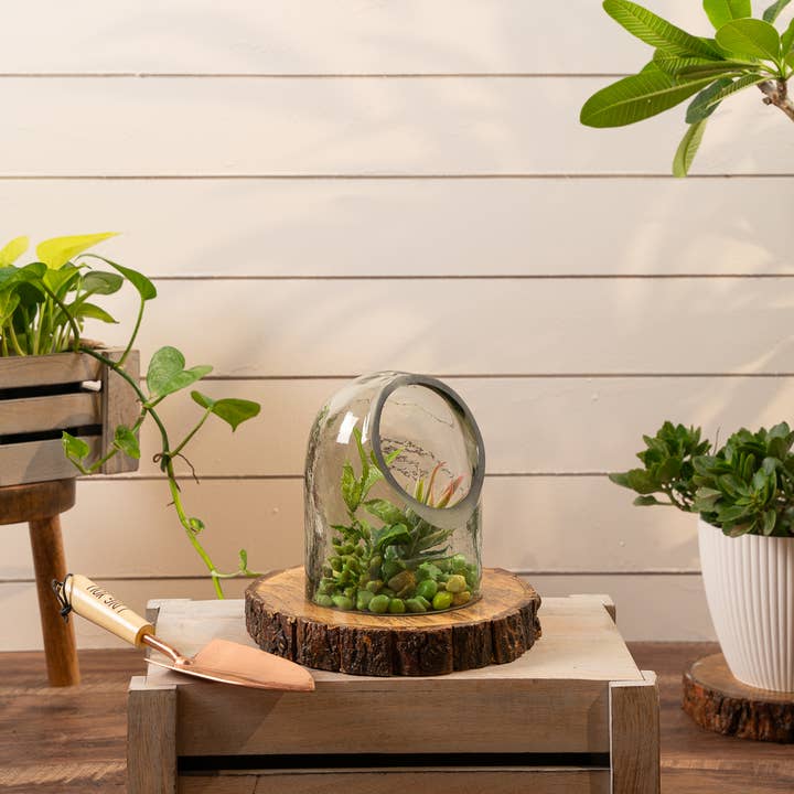 Rosha Living Inc - Wholesale Terrarium - Gerbera terrarium S