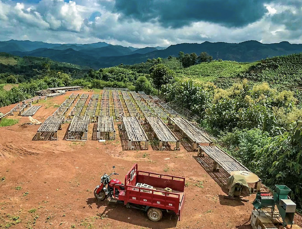 Quichapa Coffee - Wholesale Coffee beans - Yunnan Xishuangbanna Guiben honey3