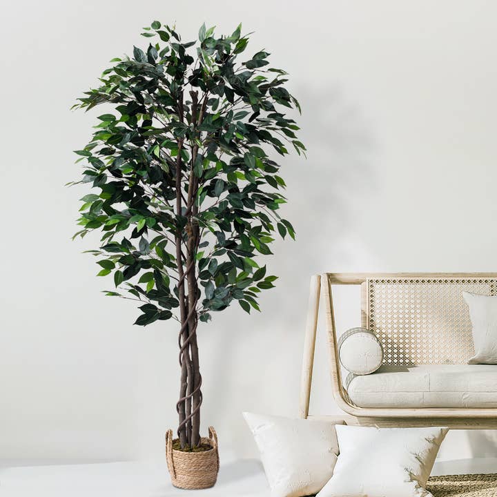 72" Ficus Tree with the Basket for wholesale by Forever Leaf