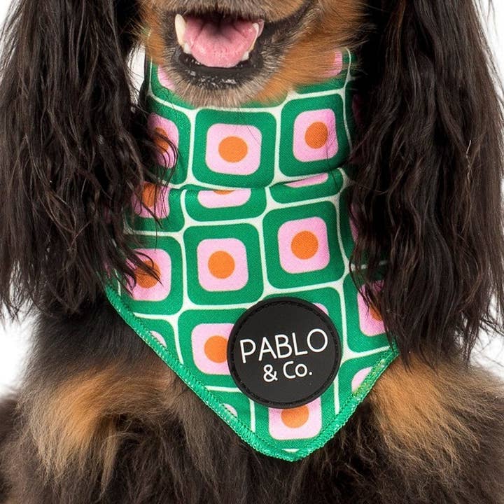 70's style - Dog Bandana for wholesale by Pablo & Co. Boutique