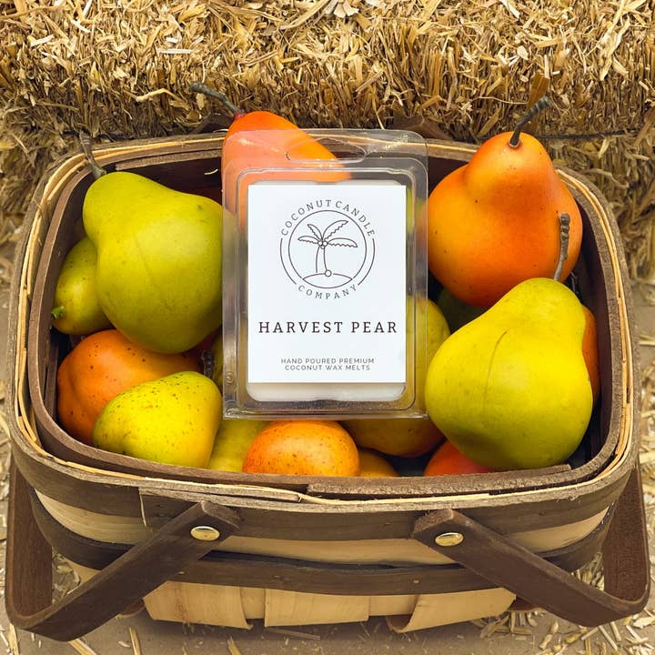 Coconut Wax Wax Melts for wholesale by Coconut Candle Company