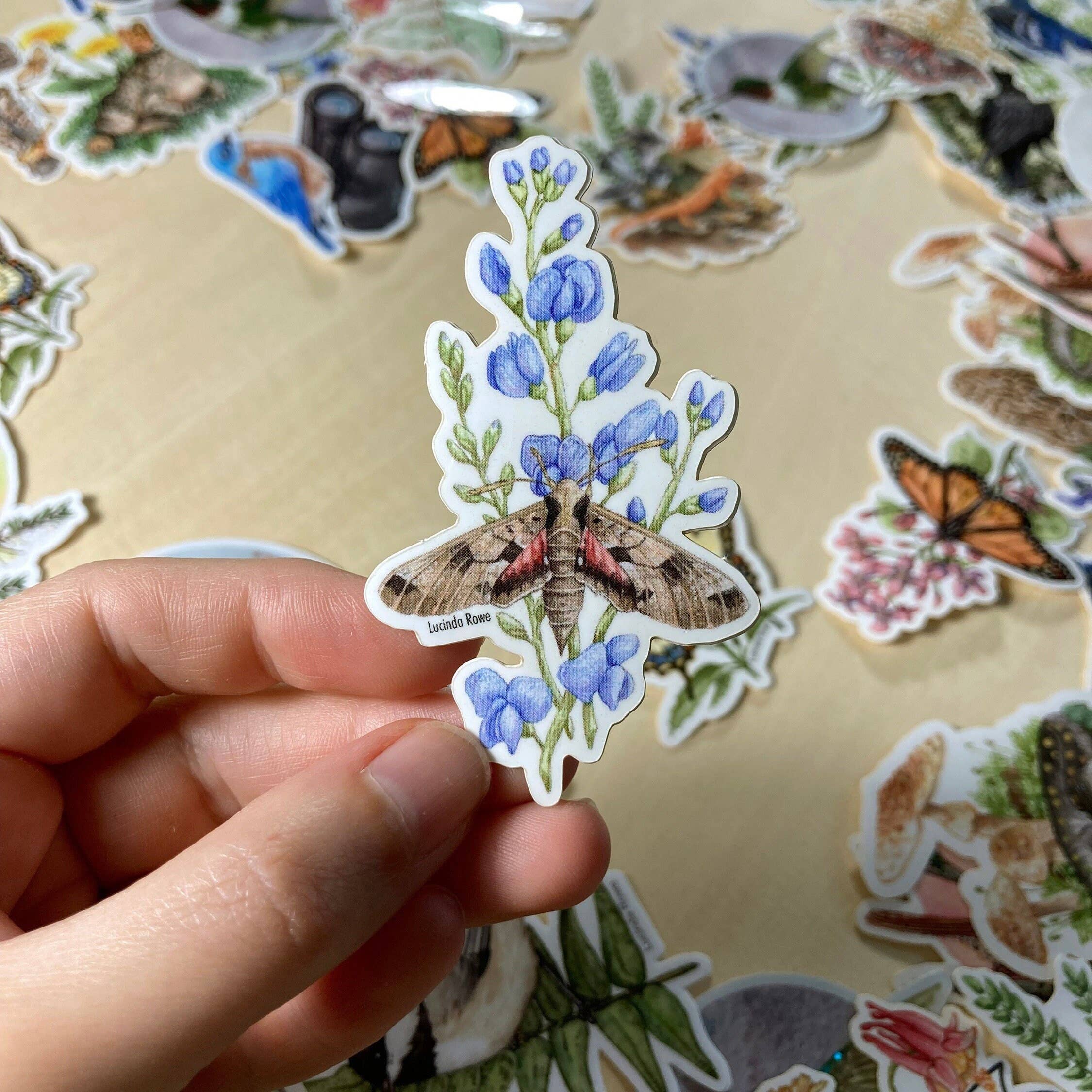 Lucinda Rowe Art - Wholesale Sticker - Sticker - Achemon Sphinx Moth On Wild Indigo