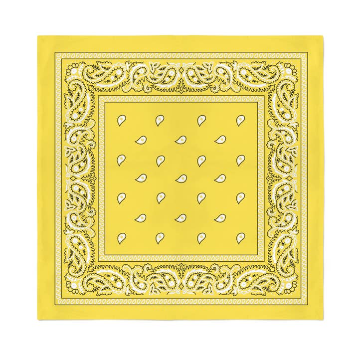 Auction Clearance - Wholesale Bandana - Unisex - 24 Pack Cotton Bandanas Paisley - 22 Inches11