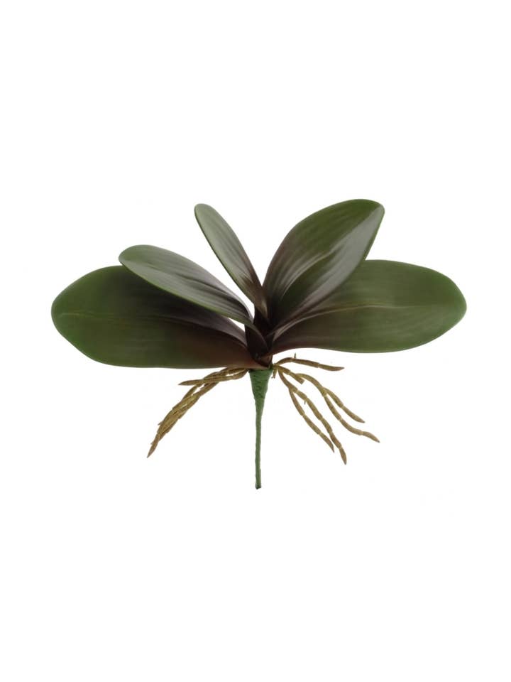 12" Phalaenopsis Leaf Cluster 11" Width Faux for wholesale by Larksilk