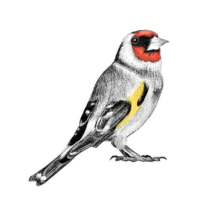 Fine Forest – wholesale Wall decor – Kids & Baby – Goldfinch and red robin wall sticker set2